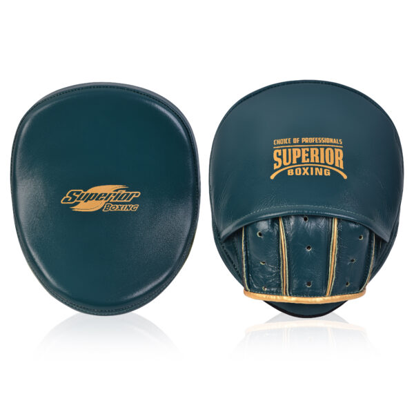 Superior Boxing Teiken FR Micro Punch Mitts - Superior Boxing Gear
